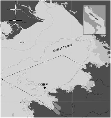 Evaluation of the rbcL marker for metabarcoding of marine diatoms and inference of population structure of selected genera